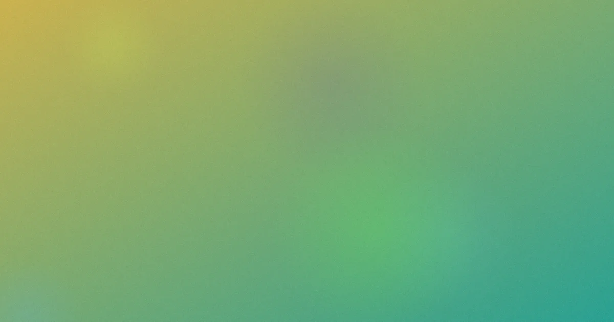 91天天操推荐：新手这样选